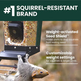 Perky-Pet Smart Camera Squirrel-Resistant Bird Feeder