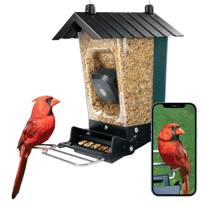 Perky-Pet Smart Camera Squirrel-Resistant Bird Feeder