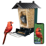 Perky-Pet Smart Camera Squirrel-Resistant Bird Feeder