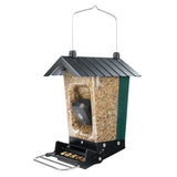Perky-Pet Smart Camera Squirrel-Resistant Bird Feeder