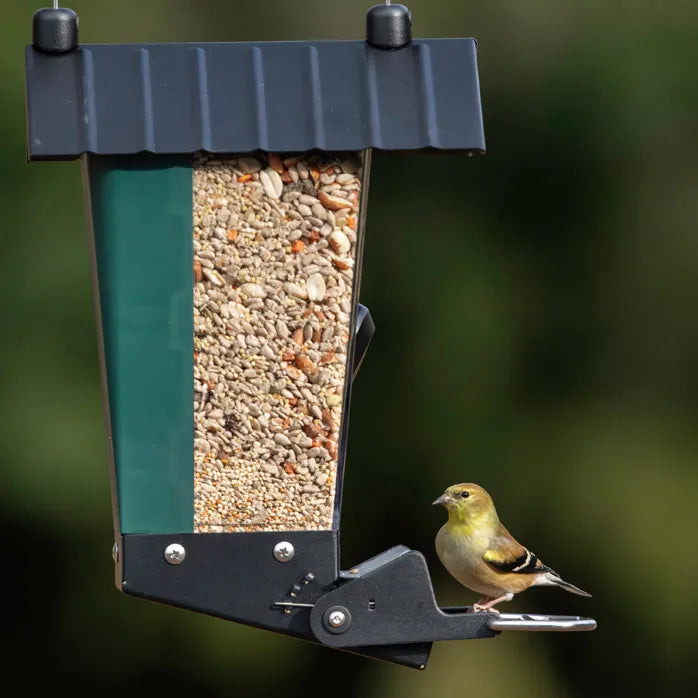 Perky-Pet Smart Camera Squirrel-Resistant Bird Feeder