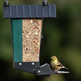 Perky-Pet Smart Camera Squirrel-Resistant Bird Feeder