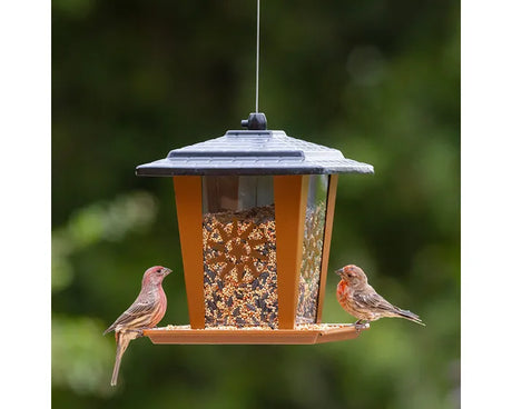 Perky-Pet Sun and Star Lantern Wild Bird Feeder