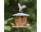 Perky-Pet Sun and Star Lantern Wild Bird Feeder