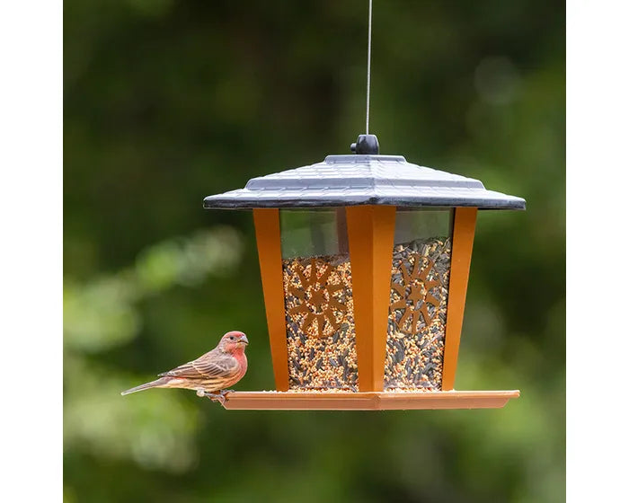 Perky-Pet Sun and Star Lantern Wild Bird Feeder
