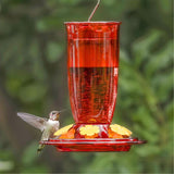 Plastic Hummingbird Feeder with Bee & Ant Proof, 16oz, Red