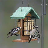 Recycled Plastic Double Suet Bird Feeder With Green Roof