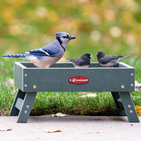 Recycled Plastic Ground Feeder, Green