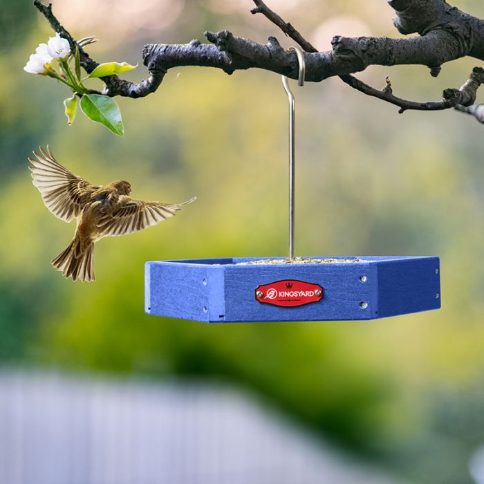 Recycled Plastic Hexigon Platform Bird Feeder, Blue