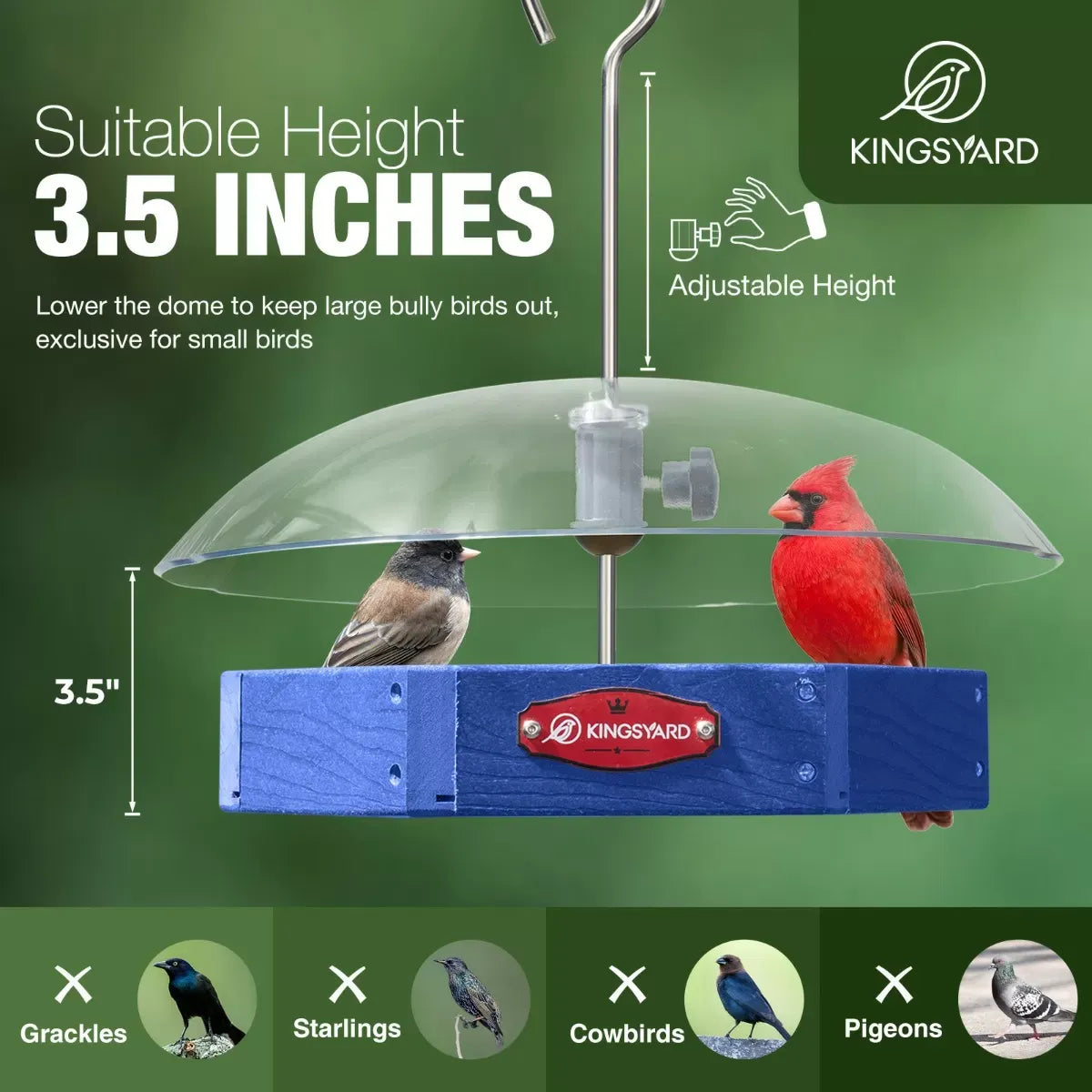 Recycled Plastic Platform Bird Feeder with Adjustable Dome, Blue