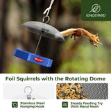 Recycled Plastic Platform Bird Feeder with Adjustable Dome, Blue