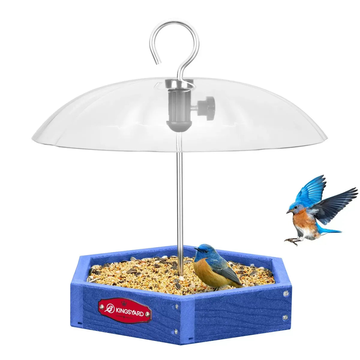 Recycled Plastic Platform Bird Feeder with Adjustable Dome, Blue