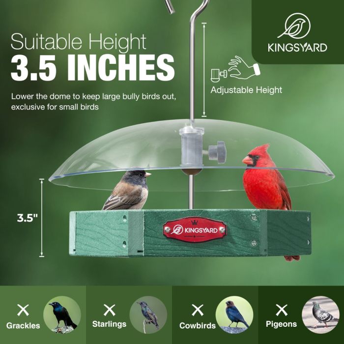 Recycled Plastic Platform Bird Feeder with Adjustable Dome, Green