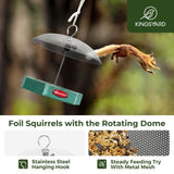 Recycled Plastic Platform Bird Feeder with Adjustable Dome, Green