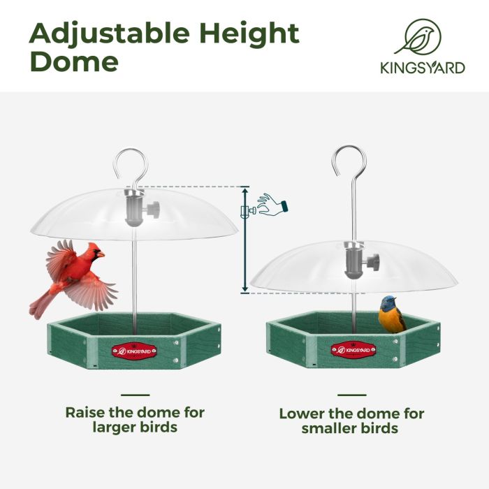 Recycled Plastic Platform Bird Feeder with Adjustable Dome, Green