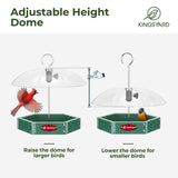 Recycled Plastic Platform Bird Feeder with Adjustable Dome, Green