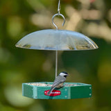 Recycled Plastic Platform Bird Feeder with Adjustable Dome, Green