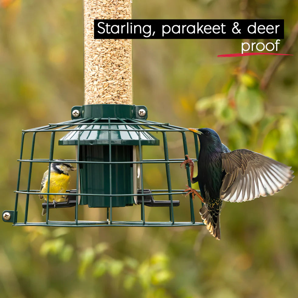 Roamwild Pestoff Halo Cage Deer/Starling Proof Cage Accessory