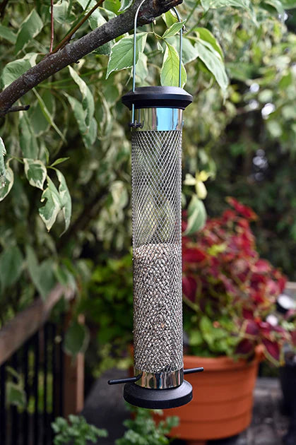 Shelled Sunflower Seeds Tube Feeder