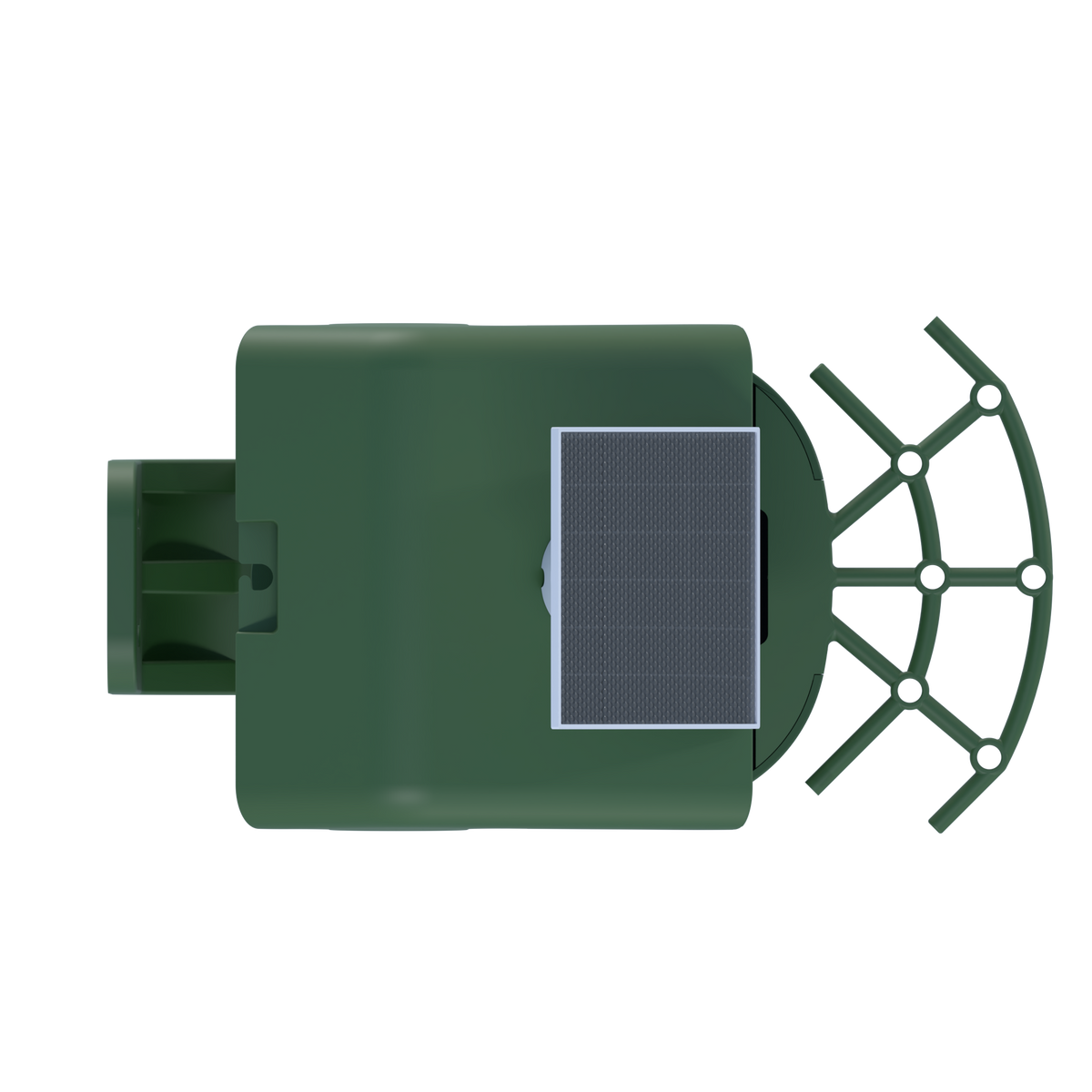 Smart Bird Camera Feeder With Birds Species Identification
