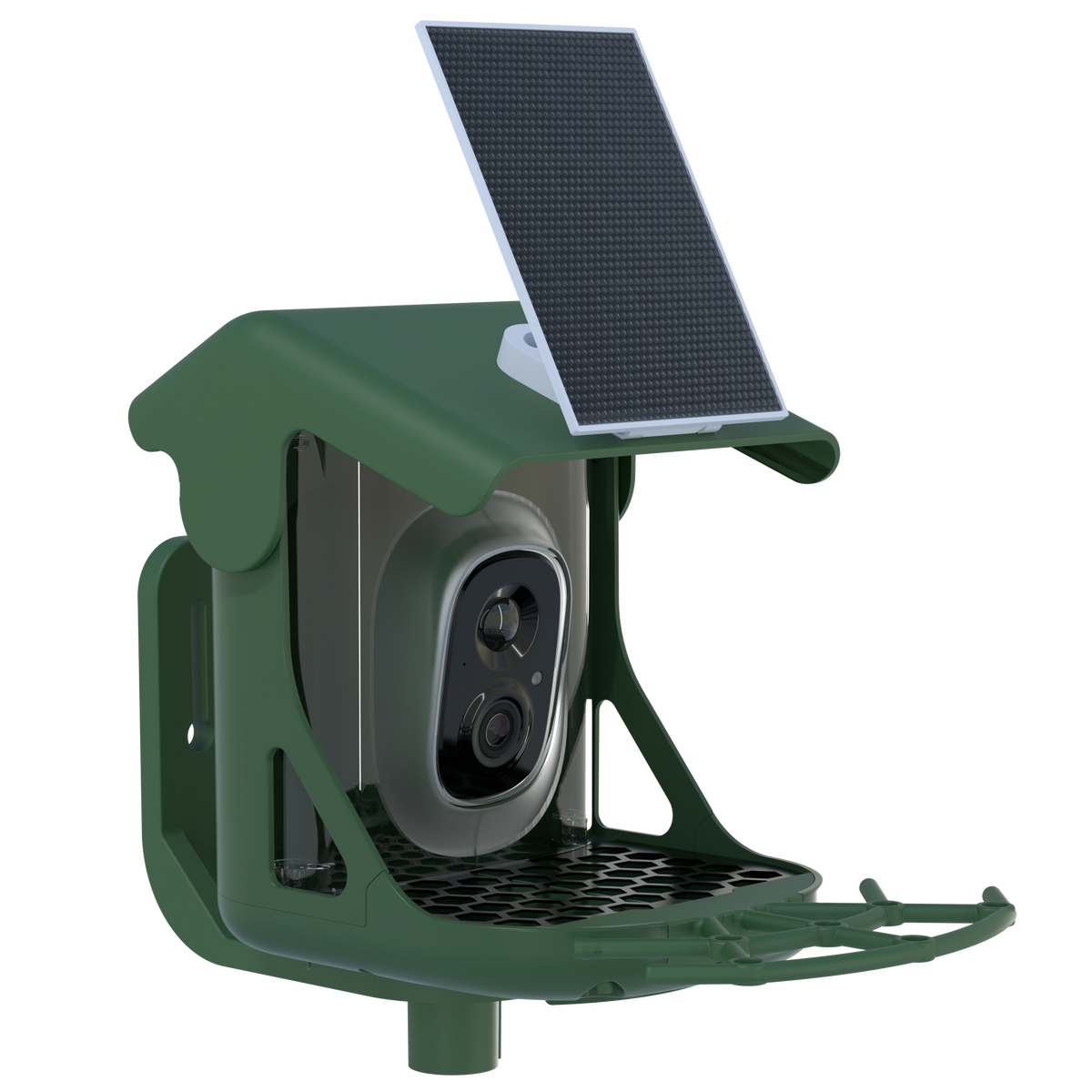 Smart Bird Camera Feeder With Birds Species Identification