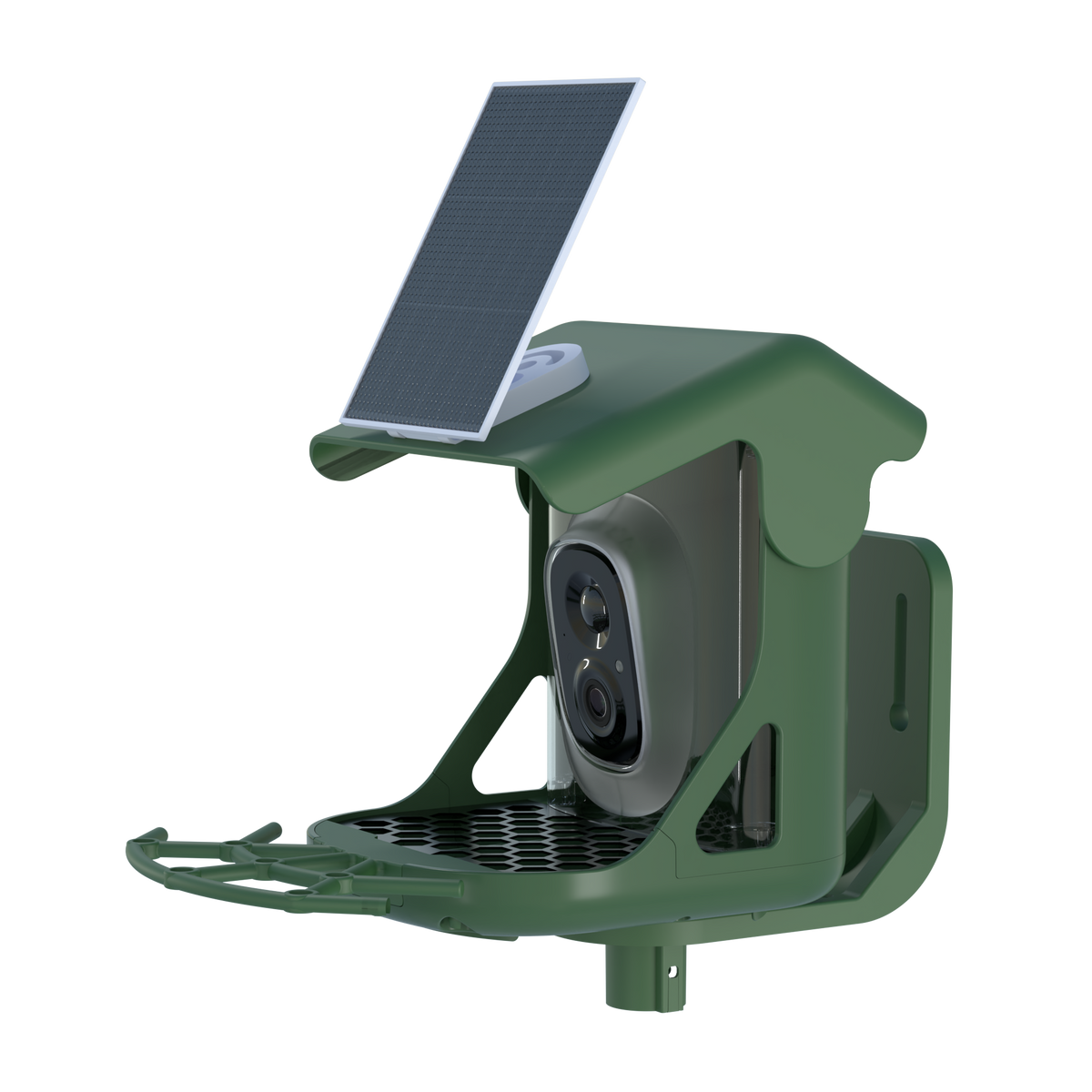 Smart Bird Camera Feeder With Birds Species Identification