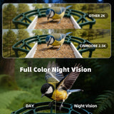 Smart Bird Camera Feeder With Birds Species Identification