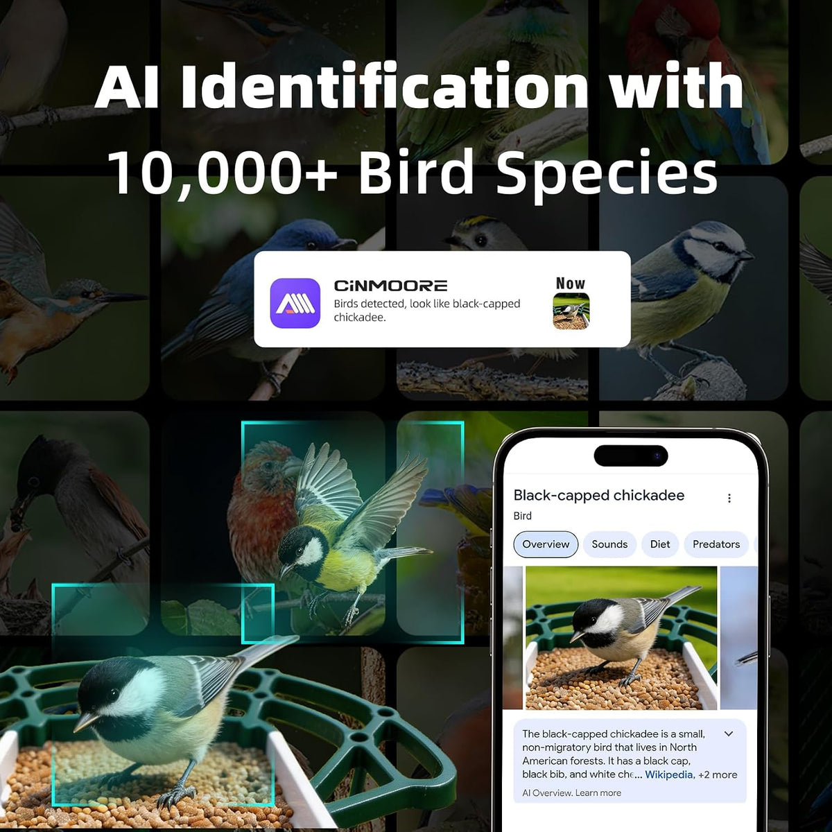 Smart Bird Camera Feeder With Birds Species Identification