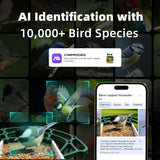 Smart Bird Camera Feeder With Birds Species Identification