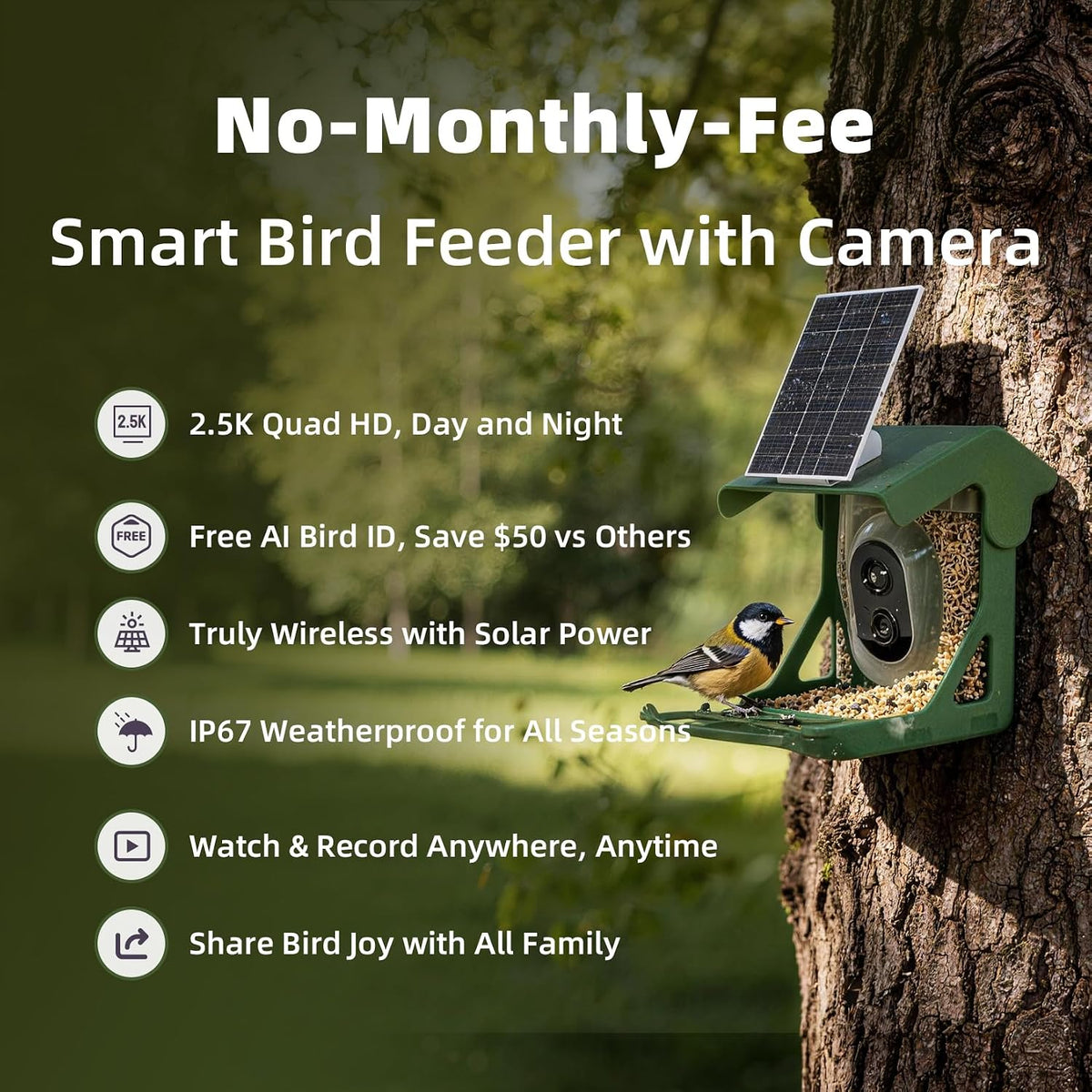 Smart Bird Camera Feeder With Birds Species Identification