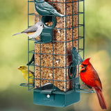 Squirrel-Proof Wild Bird Feeder, Green