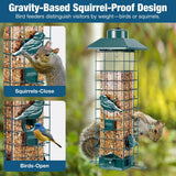Squirrel-Proof Wild Bird Feeder, Green