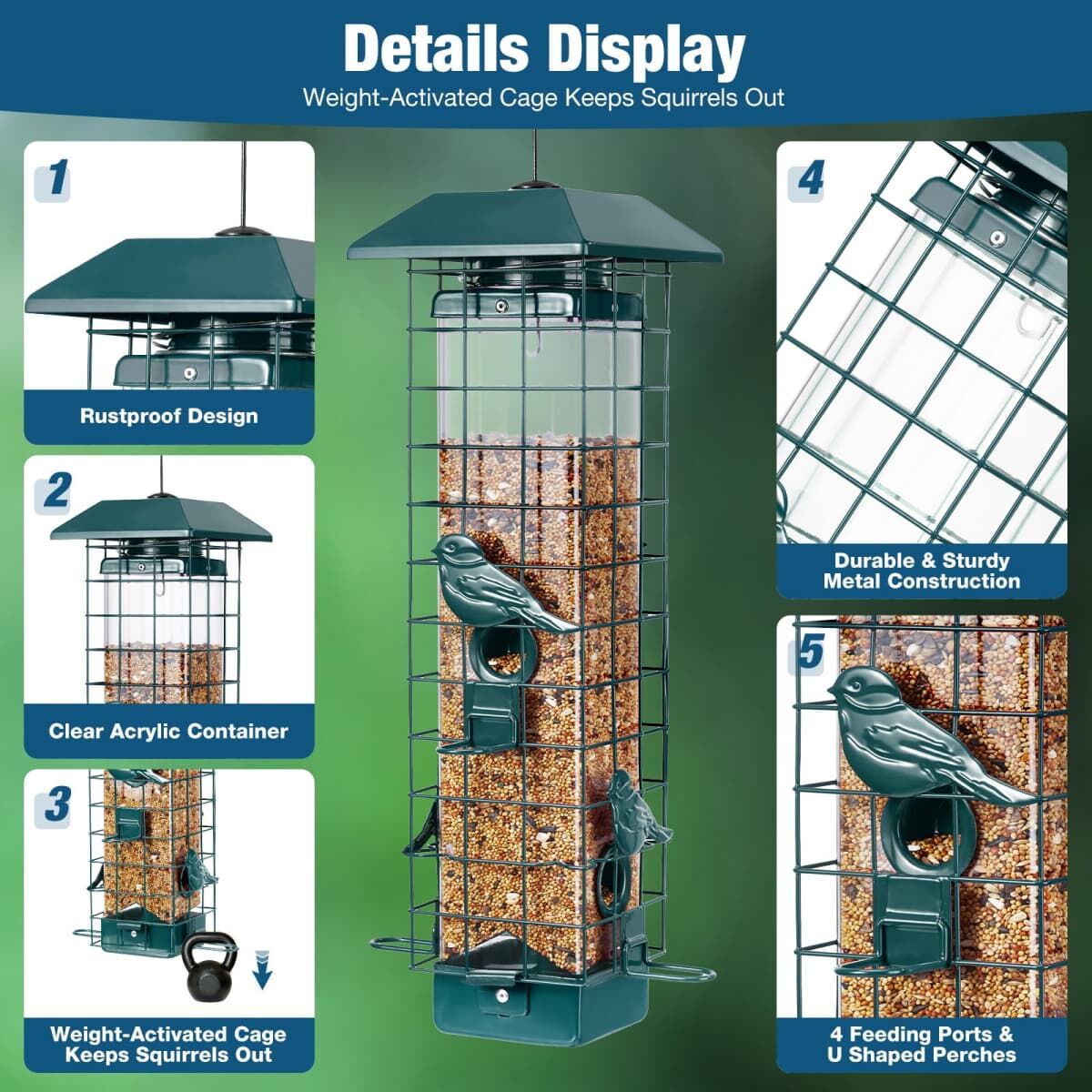 Squirrel-Proof Wild Bird Feeder, Green