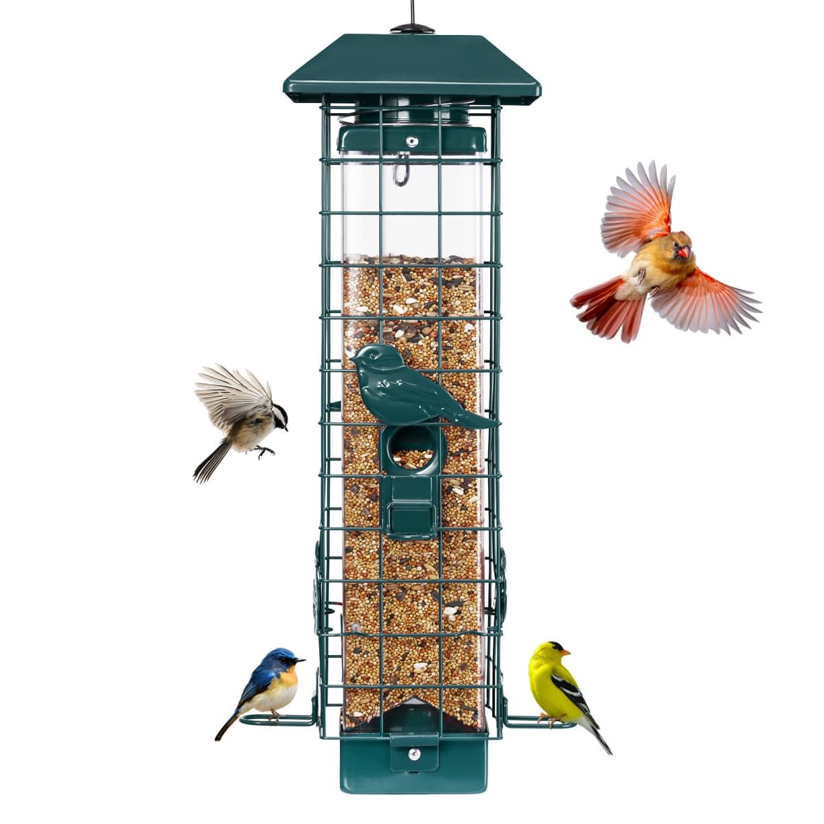 Squirrel-Proof Wild Bird Feeder, Green