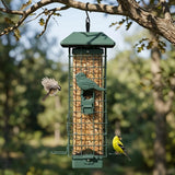 Squirrel-Proof Wild Bird Feeder, Green