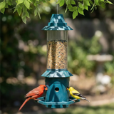 Squirrel Proof Weight Sensing Hanging Tube Bird Feeder, Green