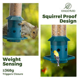 Squirrel Proof Weight Sensing Hanging Tube Bird Feeder, Green