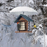 Squirrel & Weather Guard Dome, Clear