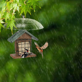 Squirrel & Weather Guard Dome, Clear