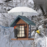 Squirrel & Weather Guard Dome, Clear