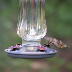 Starglow Vintage Glass Hummingbird Feeder