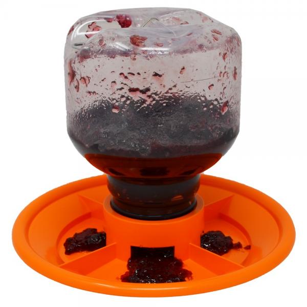 Switch N Swap 32oz Jelly Feeder