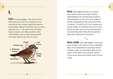 The Birding Dictionary