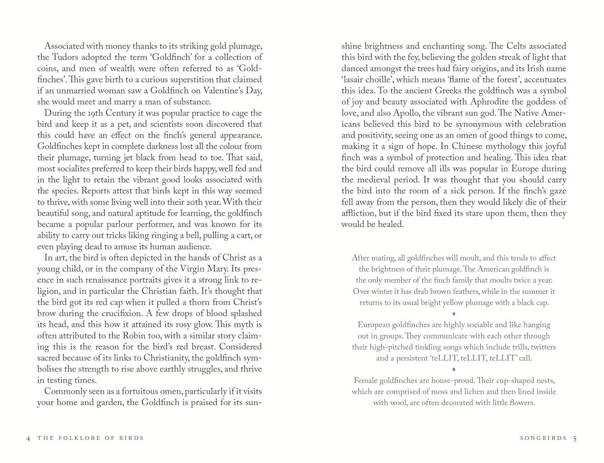 The Folklore of Birds