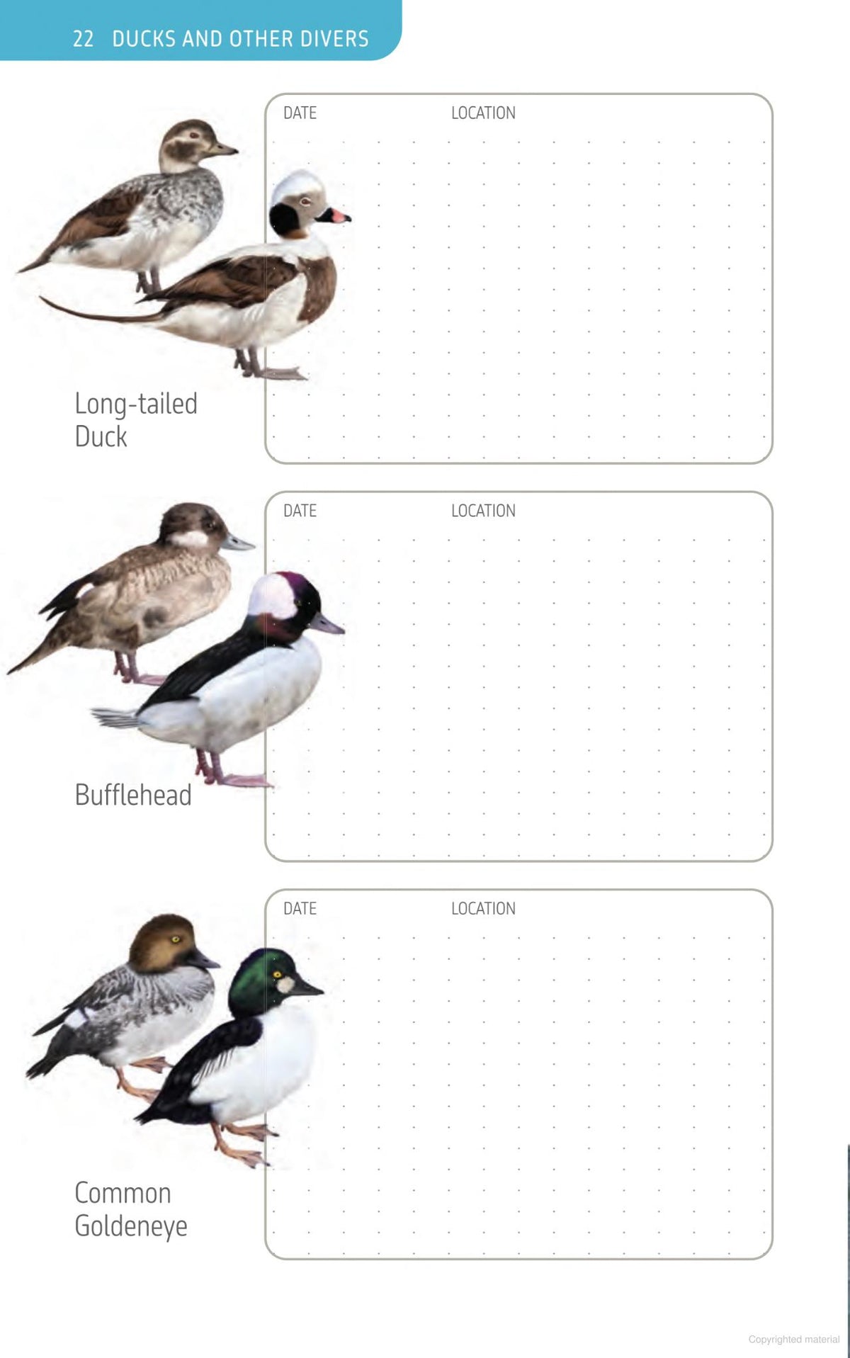 The Ontario Birding Journal and Checklist
