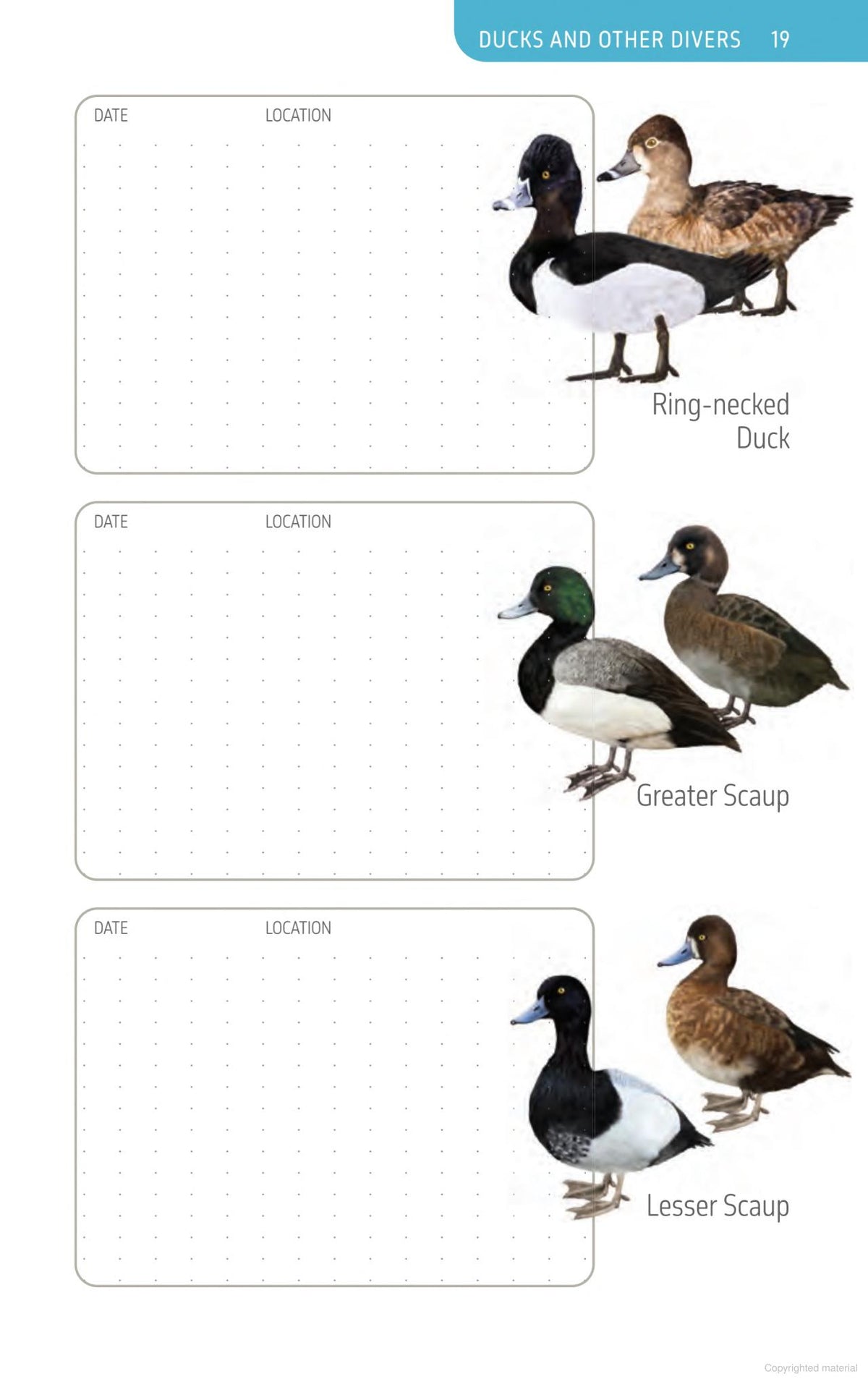 The Ontario Birding Journal and Checklist