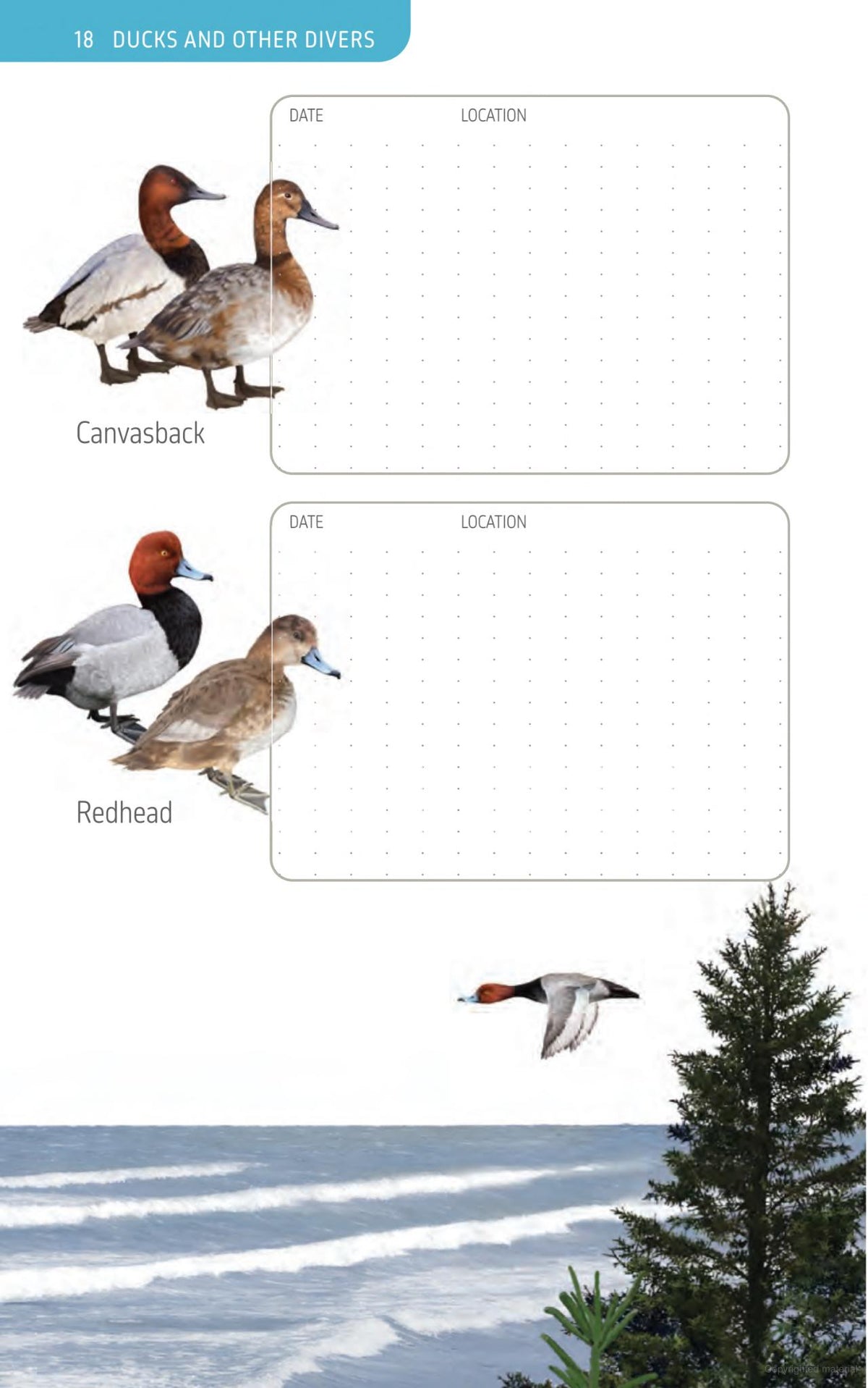 The Ontario Birding Journal and Checklist