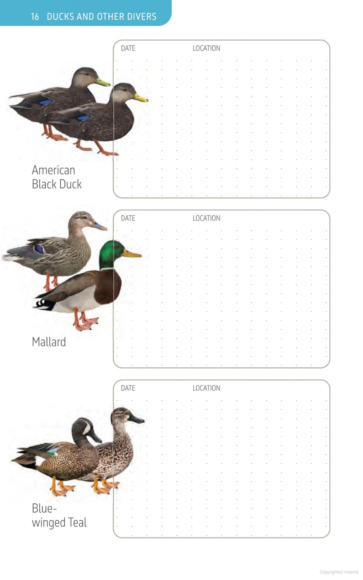 The Ontario Birding Journal and Checklist