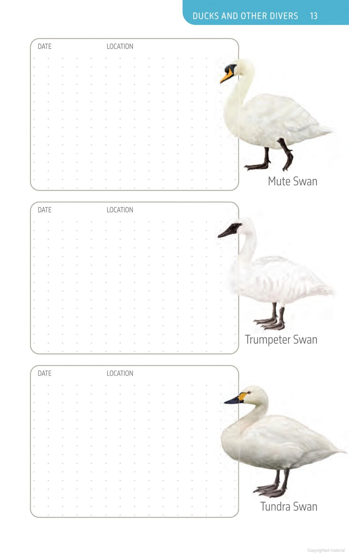 The Ontario Birding Journal and Checklist