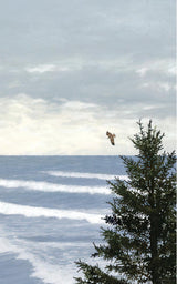 The Ontario Birding Journal and Checklist